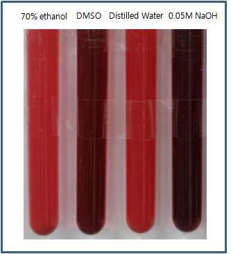 Test of solvents for carmine