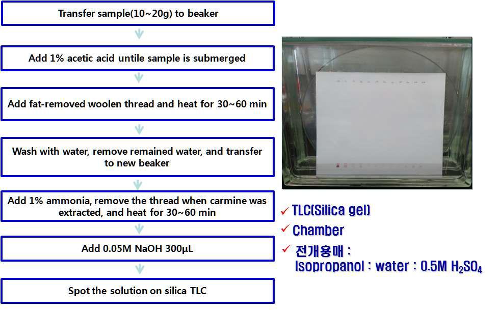 Procedure of sample preparation