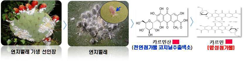 Preparation procedure of carminic acid and carmine