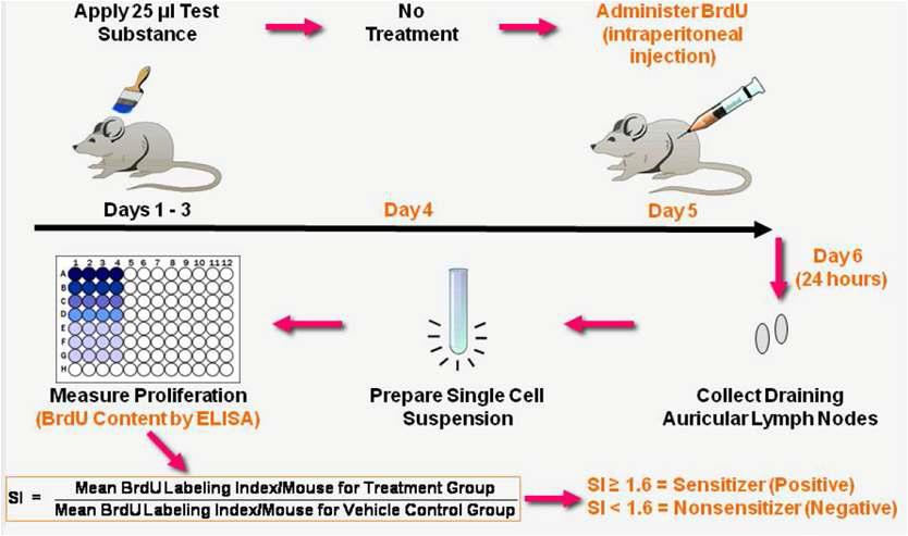 Protocol of LLNA:BrdU-ELISA test method