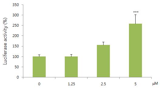 Effect of 2,4-dinitrochlorobenzene on luciferase activity in HaCaT-A RE cell line. Luciferase activity was measured by luciferase assay system. Values are presented as mean ± S.E.M. of three independent experiments. ***Significant difference from vehicle control (p < 0.001).