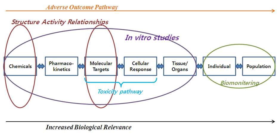 Conceptual diagram of key feature of an adverse outcome pathway