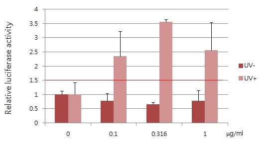 Luciferase activity of chlorpromazine in JB6-ARE cell line