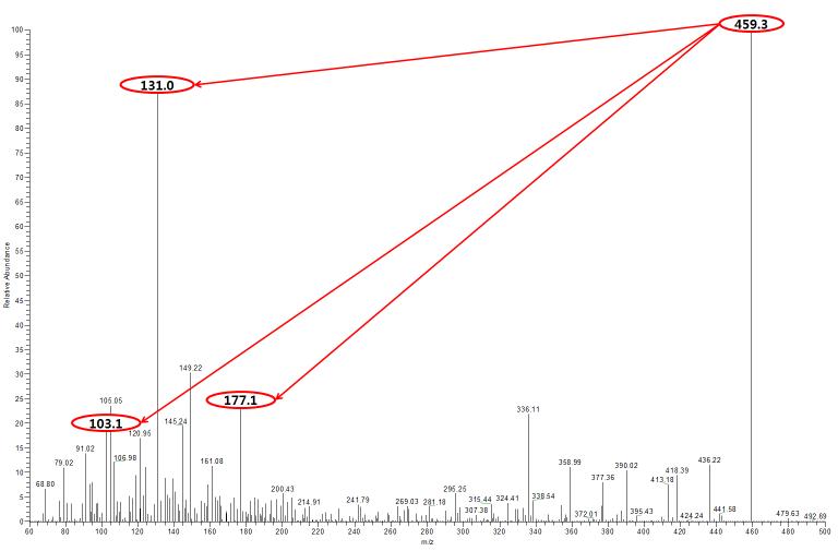 Precursor ion spectrum and product ion spectrum of fumagillin.