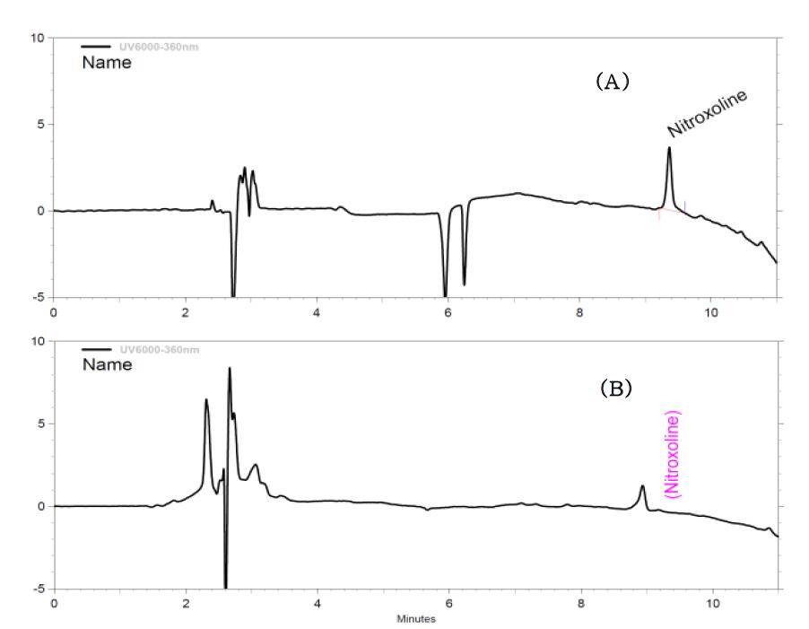 Chromatogram of nitroxoline standard at 0.1 ㎍/㎖ (A), blank chicken sample (B).