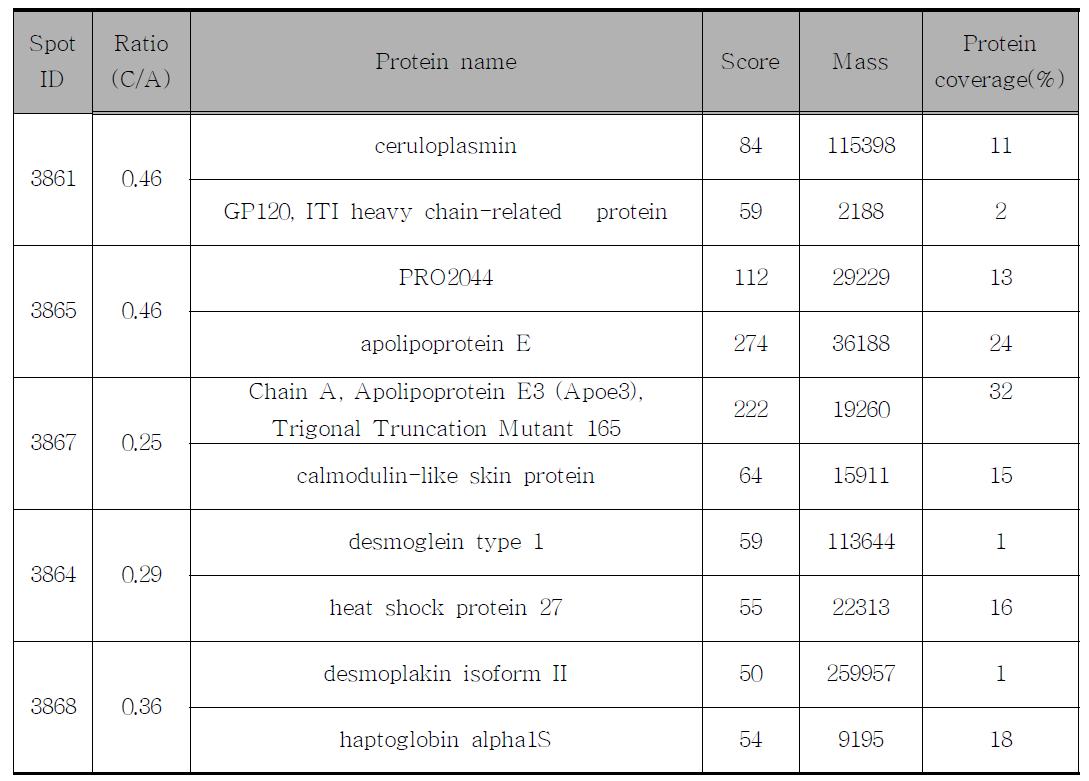 단백질 동정 및 지방간염으로 인한 염증화에 따른 ratio