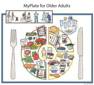 My Plate for Older Adults