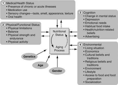 건강과 관련된 삶의 질과 노화과정에 영향을 미치는 요인(Factors that influence health related quality of life and aging process)