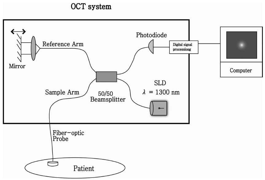 빛 간섭 촬영법 Optical coherence tomography(OCT) system