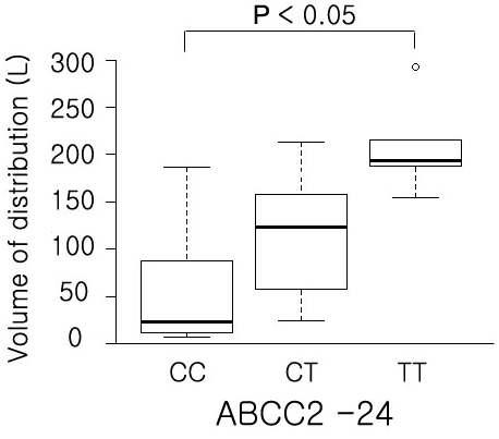 ABCC2 -24C>T 유전형에 따른 분포용적의 차이