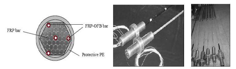 그림 3.10 Smart FRP-OFBG based bridge cable