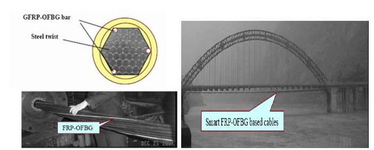 그림 3.12 FRP-OFBG Based cable 이 적용된 Erbine Bridge