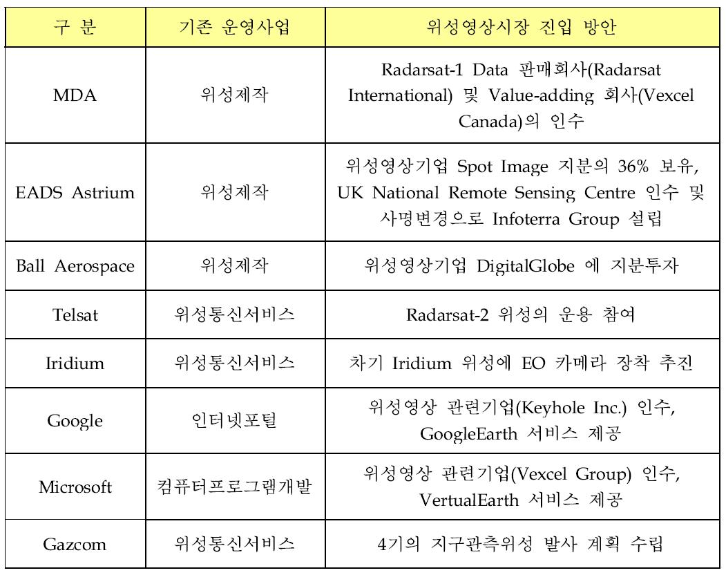 위성영상시장 진입 추진기업 사례