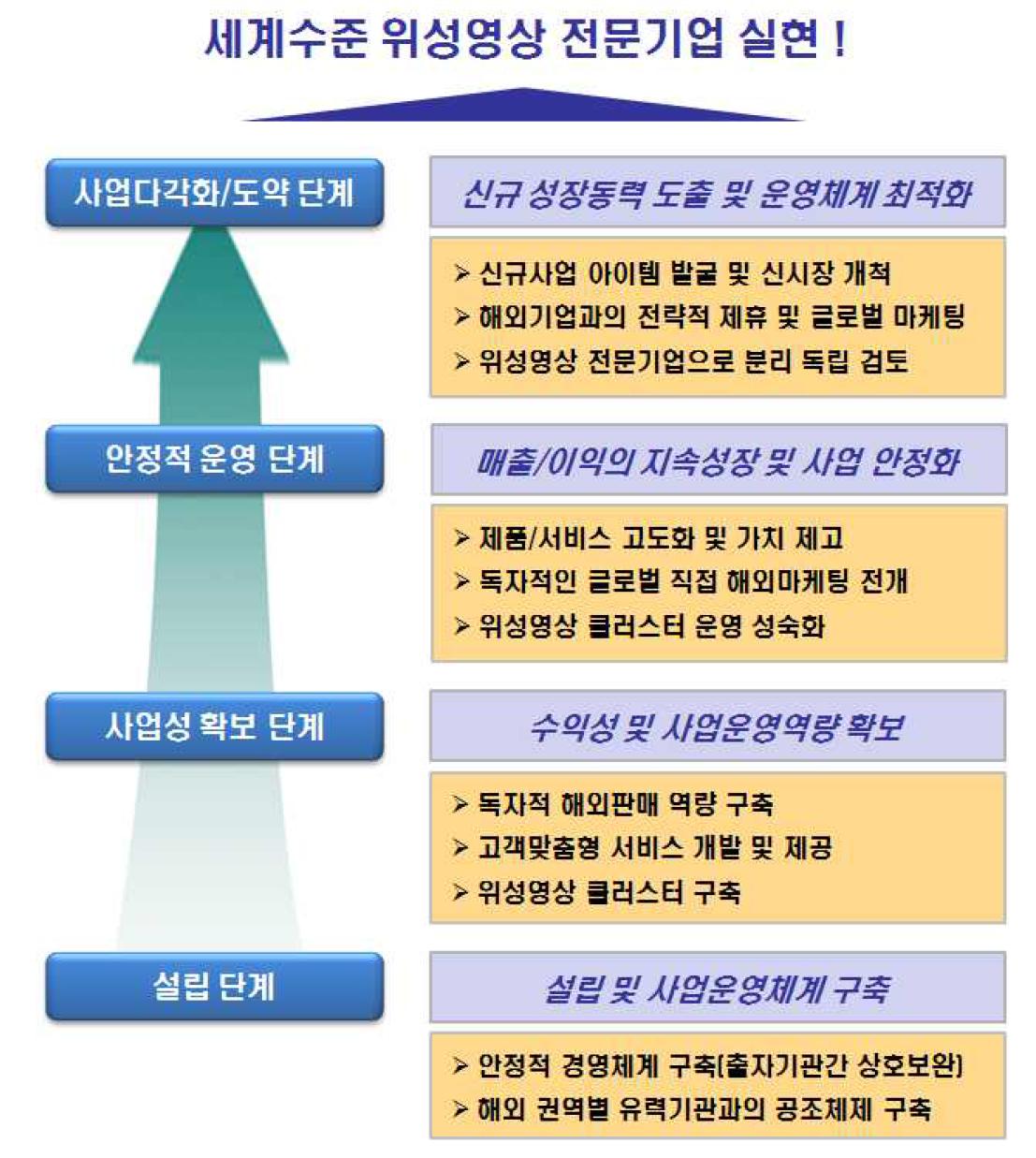 위성영상 연구소기업 발전단계 종합