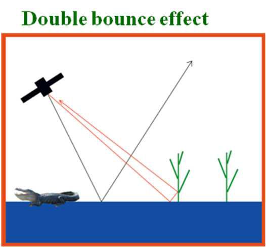 이중 산란 효과 (double bounce scattering) 모식도