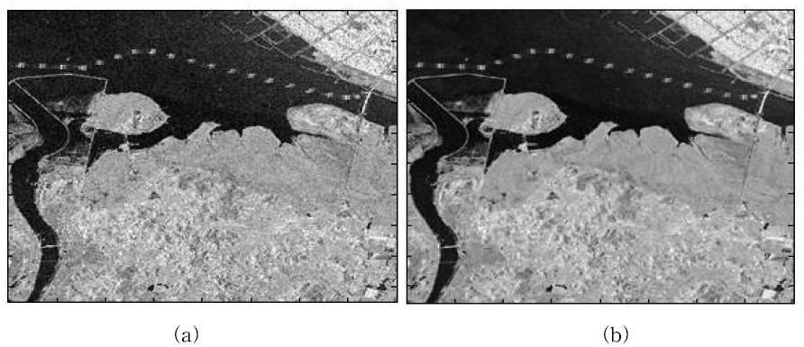 TerraSAR-X Image (a)Before applying speckle filtering, (b)After applying speckle filtering