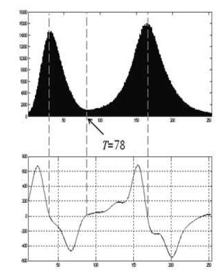 SAR image Histogram