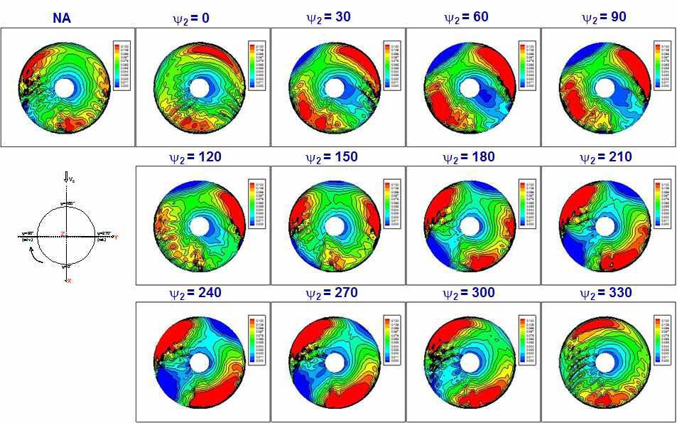 CnM2 contours (2P excitation, 80% amplitude)