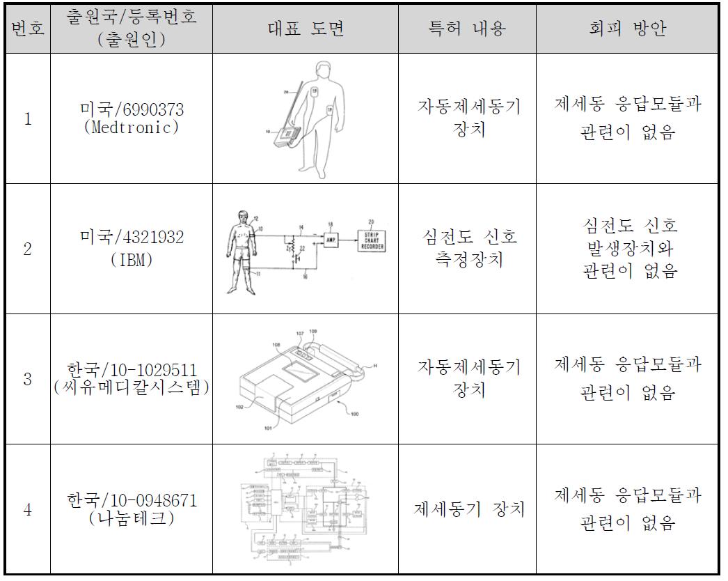 특허 회피 방안