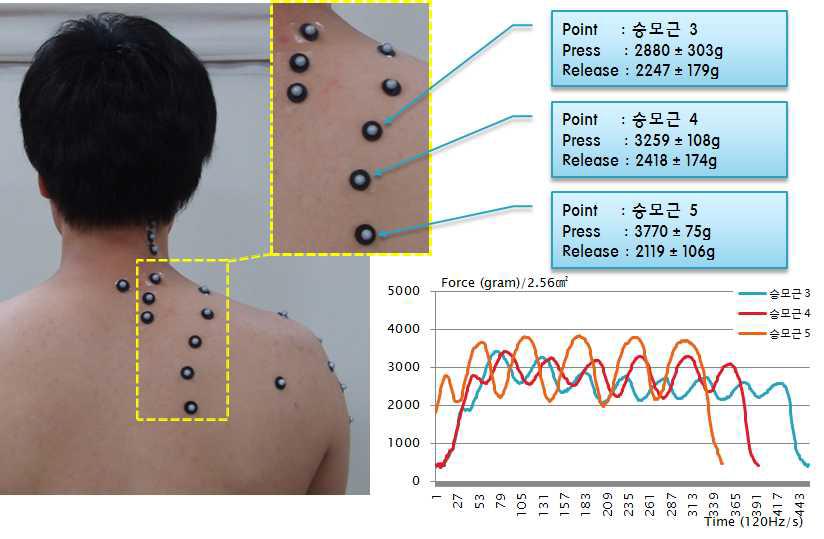 승모근의 마사지 위치 및 가압력 그래프