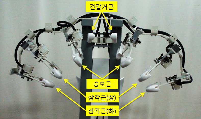 마사지기 프로토타입과 가압부위 확인