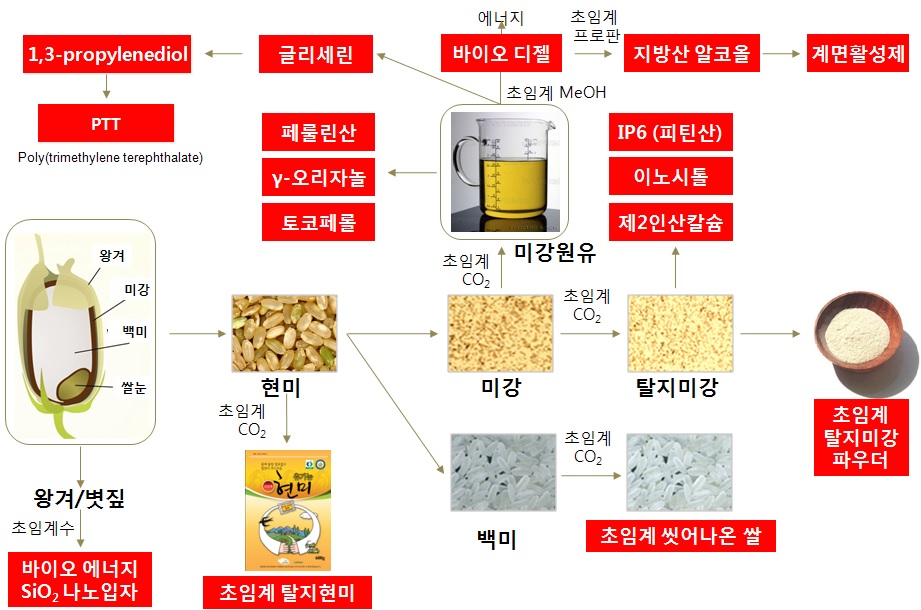 그림 6-1. 쌀 기반 바이오매스 리파이너리