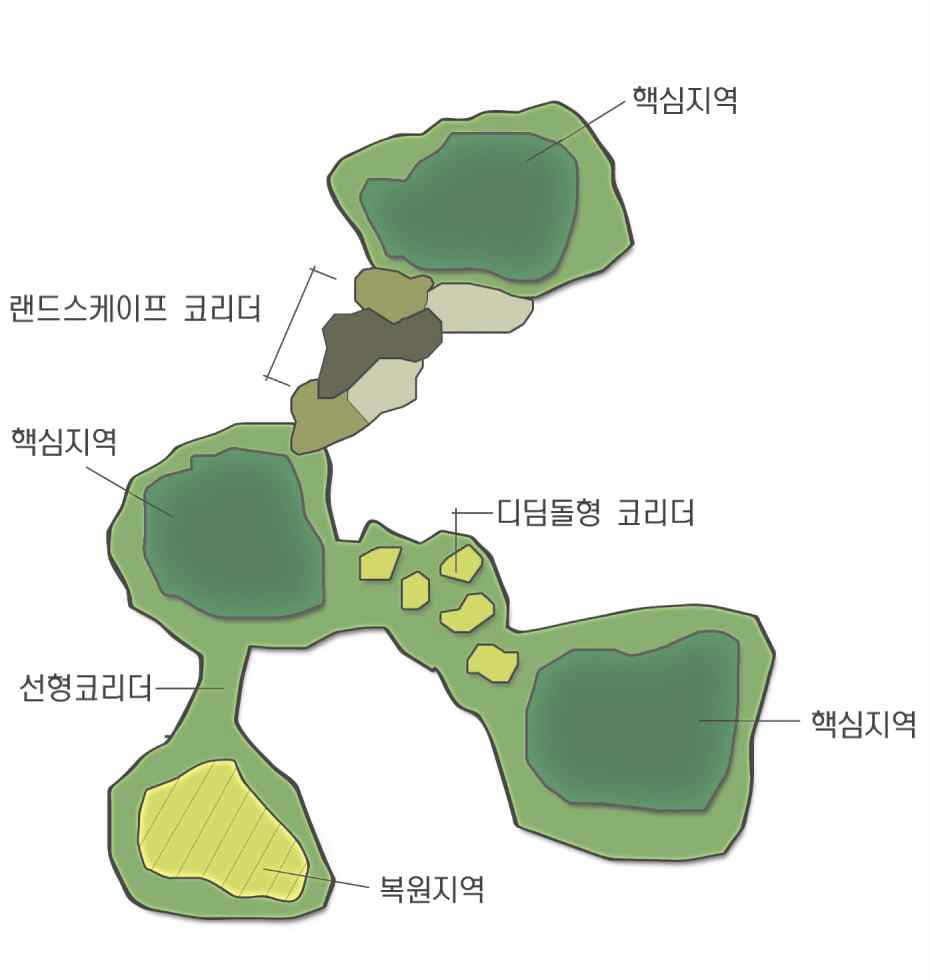 그림 3-2. 생태네트워크 도면 작성 개념도