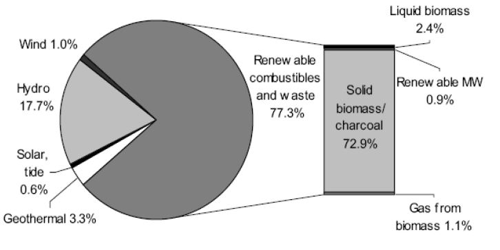 2007년 기준 전 세계 재생에너지 공급 구성