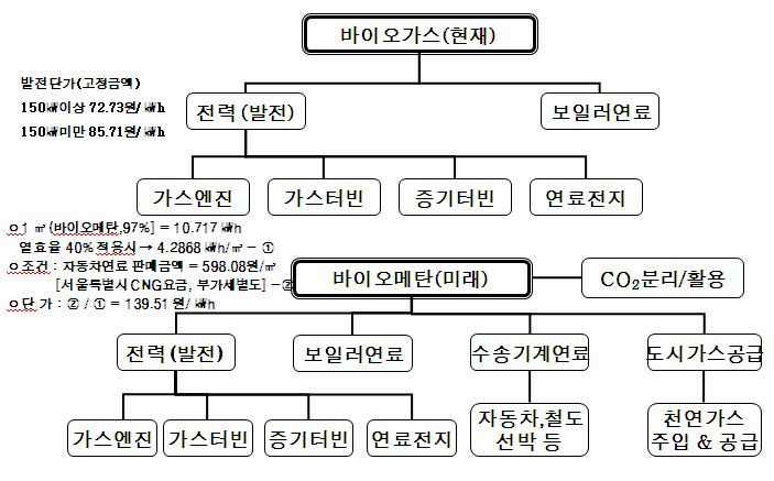 바이오가스와 바이오메탄 적용 비교