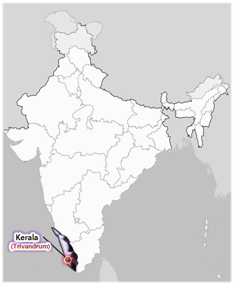 그림 4-1. 케랄라의 지리적 위치