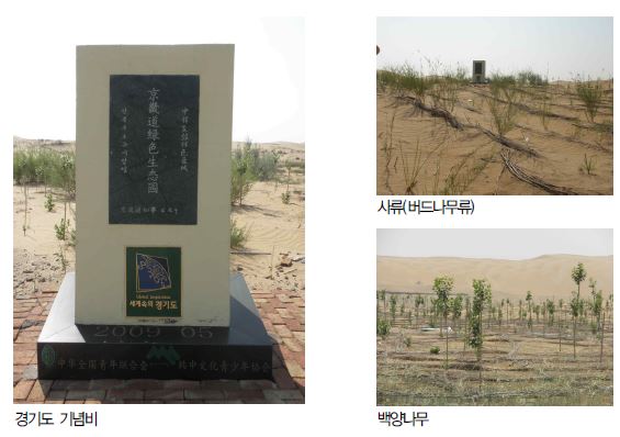중국 내몽고 쿠부치 사막 내 조림사업