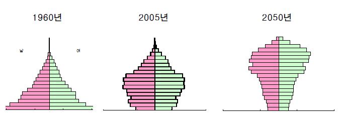 인구 피라미드 형태의 변화 및 전망