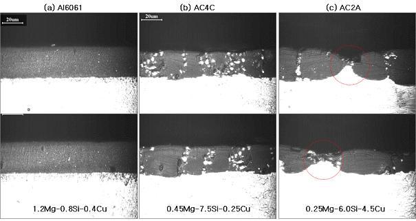다양한 합금의 양극산화 피막 단면 (양극산화피막 형성조건 o: 30 mA/cm2, 30 min, 0 C,15% sulfuric acid).