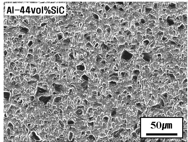 Al-44vol%SiC 복합재 SEM 미세조직