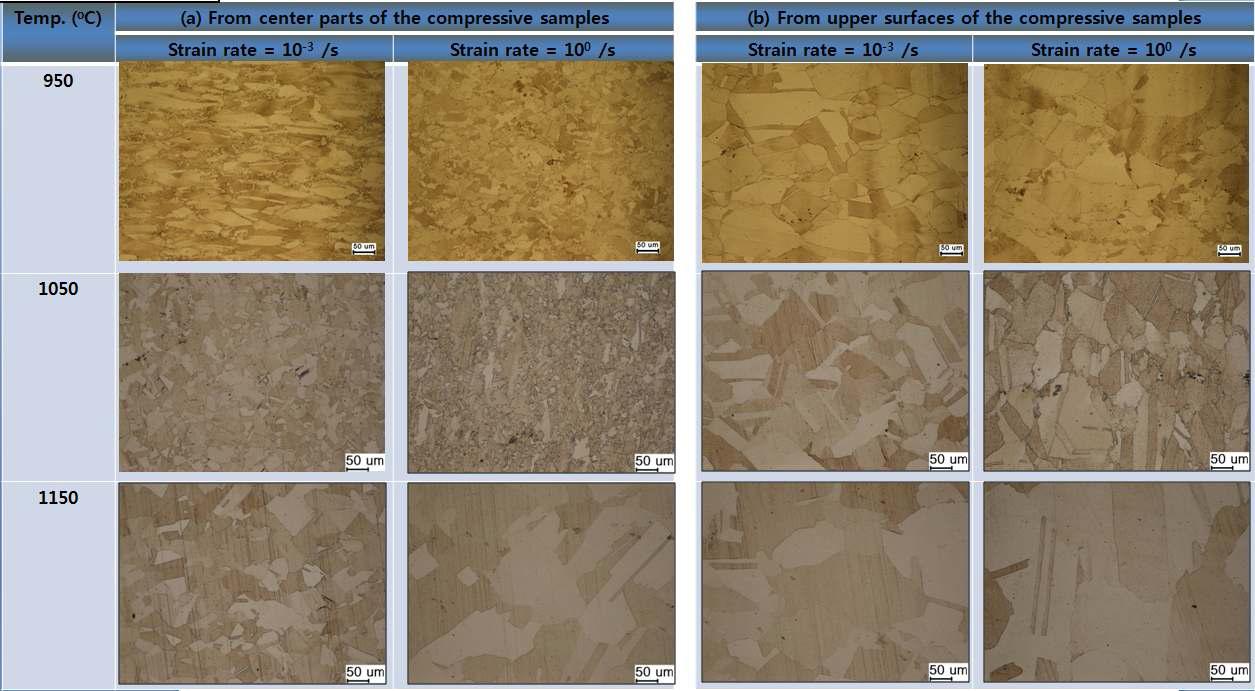 Optical micrographs of Ni30Co17Fe53 alloy compressed at the various temperatures and initial strain rates from the (a) center and (b) upper surface parts of compressed samples.