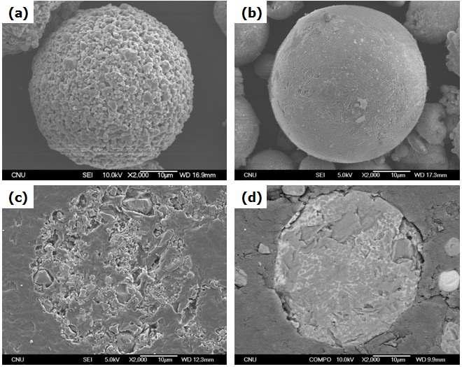 Morphology and cross-section microstructure of feedstock powders: (a) and (c) spray-dried/heat-treated, and (b) and (d) PAS-treated.