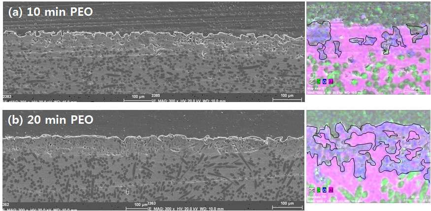 Cross-sectional morphologies of anodizing + PEO treated CF/Al composite.