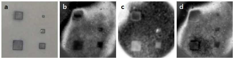 (a) 라면분말 은닉될 Stone 시편 사진, (b), (c), (d) 시간축상의 위치에 따른 THz 이미지