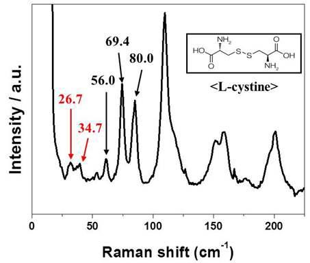 L-cystine의 Low frequency Raman 스펙트럼