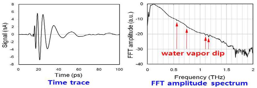 광섬유 결합형 THz-TDS 시스템에 의해 측정된 water-vapor dip