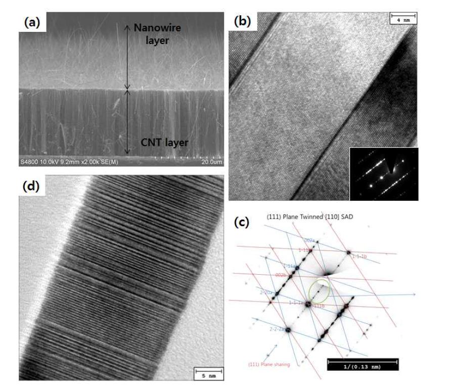 (a) 탄소나노튜브 층 위에 성장한 SiC 나노선의 SEM 사진. (b) SiC 나노선 내부의 HRTEM 사진. (c) 쌍정 주위의 전자선 회절 패턴. (d) SiC 나노선 내부의 stacking fault 및 2H 결정상을 보여주는 HRTEM 사진