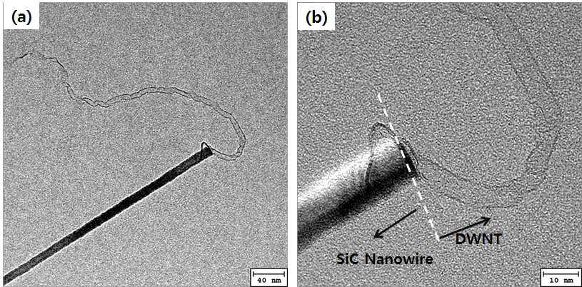 SiC 나노선과 이중벽 탄소나노튜브 선형 접합의 (a) 저배율 및 (b) 고배율 TEM 사진