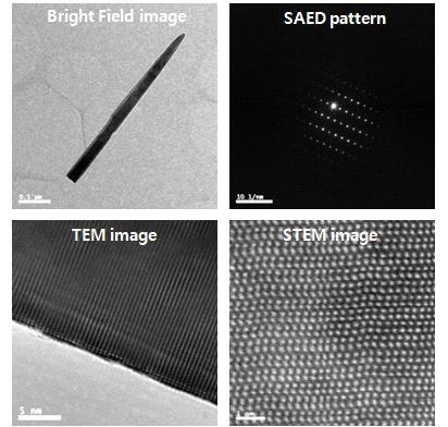 성장된 ZnO 나노선의 TEM 분석 결과