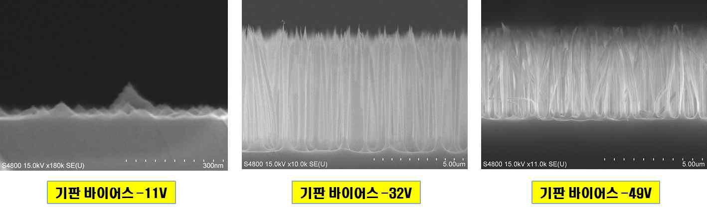 ICP plasma etcher로 형성된 Si grass : 기판 바이어스 효과