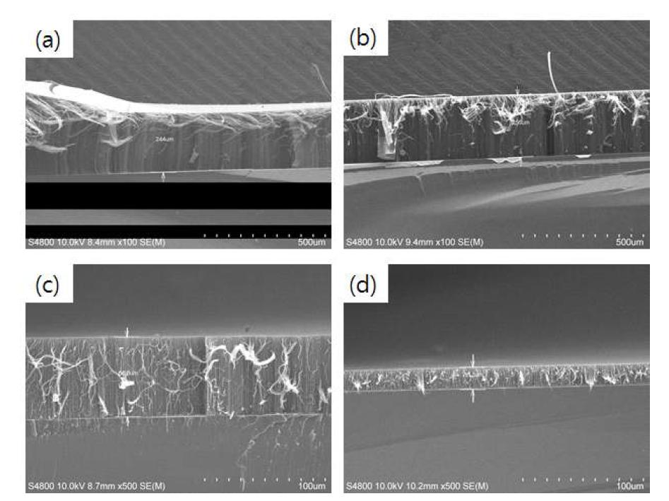 촉매층 두께에 따른 CNT 막의 단면 SEM 사진. (a)와 (b)는 2nm 의 Fe 층을 사용한 경우