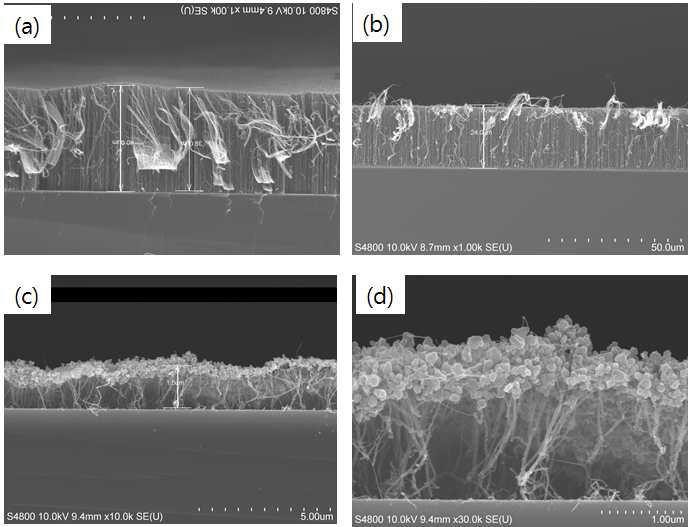 (a)와 (b)는 10nm의 Fe 촉매층을 사용하고 2sccm의 산소가 공급된 상 황에서 1분간 성장 시킨 탄소나노튜브 막으로 각 제조시마다 다른 두께를 보임