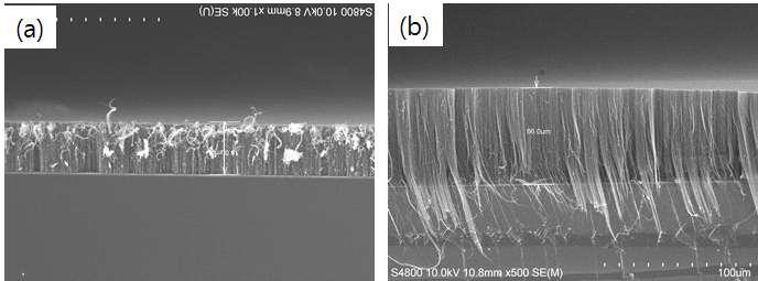 10nm의 Fe 촉매 층과 4sccm의 산소 공급량 조건에서 (a) 1분 및 (b) 5분간 성장 시킨 탄소나노튜브