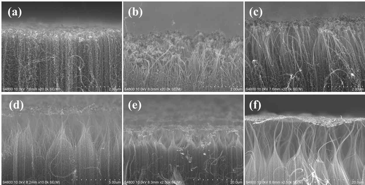 시간에 따라 in-situ plasma treatment된 CNT 음극의 SEM 사진; (a)~(f), 각각 1, 2, 4, 6, 10, 23 분 동안 처리된 후 측정된 SEM 사진