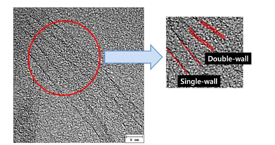 얇은벽 CNT 중에서 탄소벽이 1겹인 단일벽 CNT와 탄소벽이 2겹인 이중벽 CNT의 형상