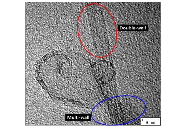 plasma treatment로 인하여 끝이 잘려나가거나 휘어져버린 다중벽 CNT. 그 옆에 수직으로 곧게 뻗어있는 이중벽 CNT가 함께 관찰된다